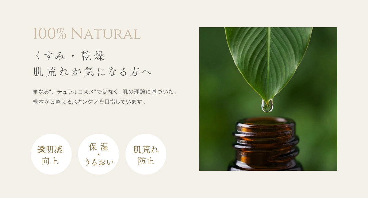 【6月中旬入荷予定】ゲットウ化粧水