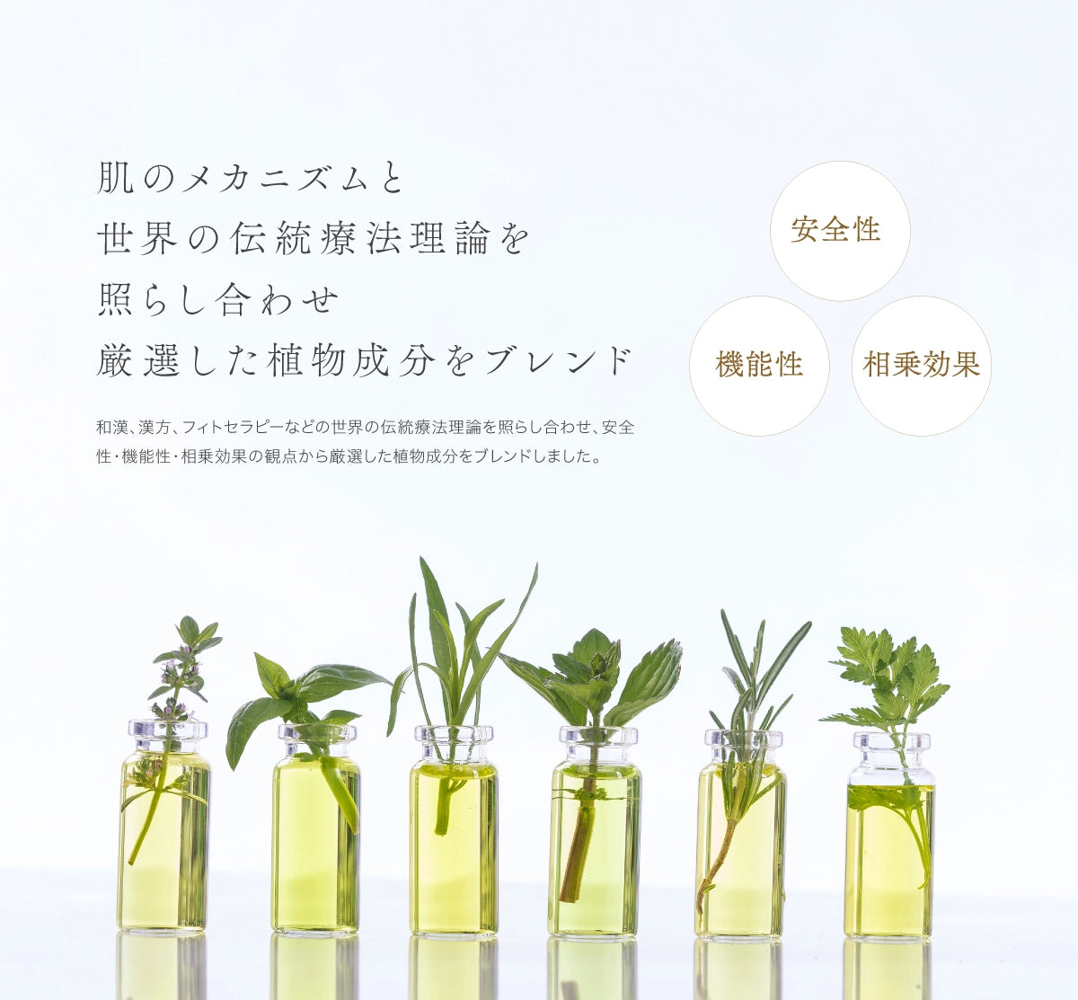 【6月中旬入荷予定】ゲットウ化粧水
