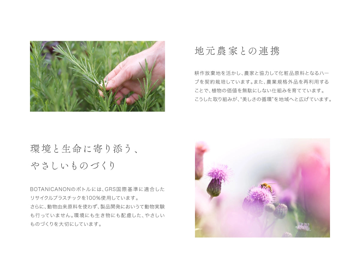 【6月中旬入荷予定】ゲットウ化粧水