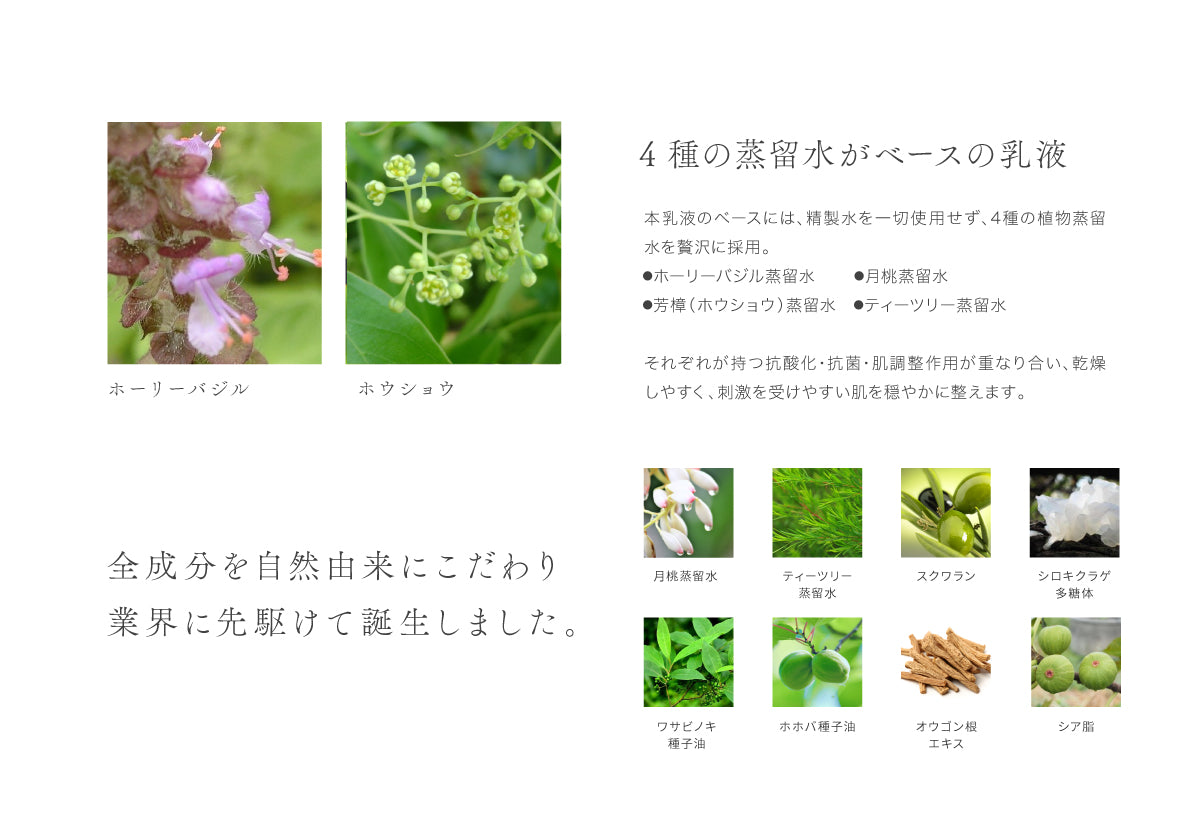 エマルジョン(乳液)【8月上旬入荷予定】
