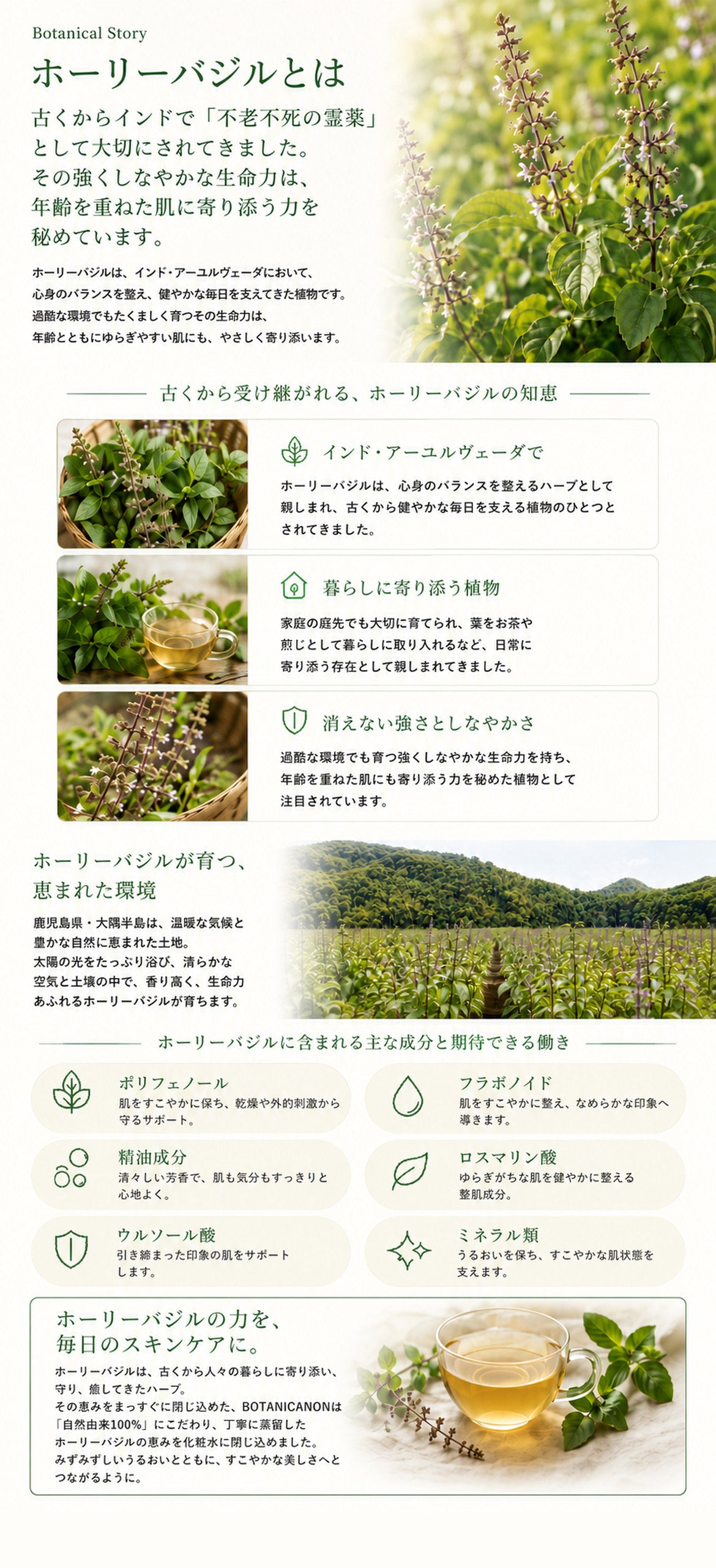 ホーリーバジルインフューズドバーム