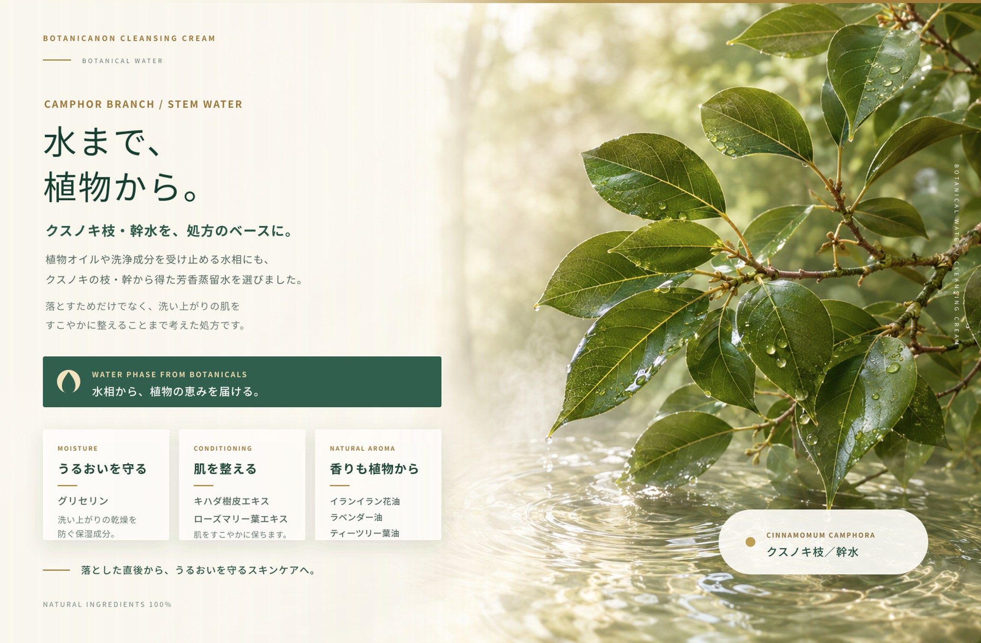 クレンジングクリーム(メイク落とし)