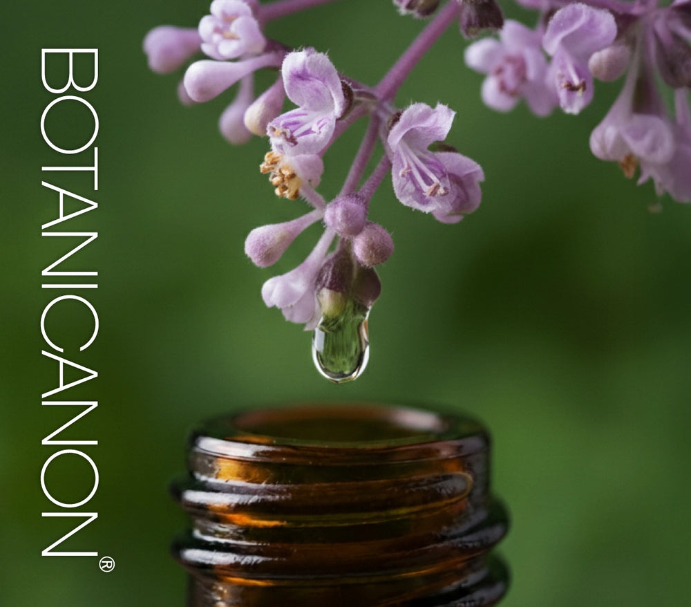 ホーリーバジル化粧水