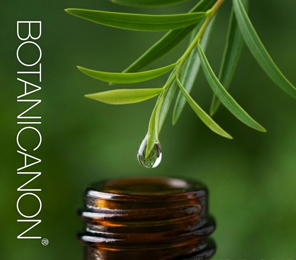 ティーツリー化粧水