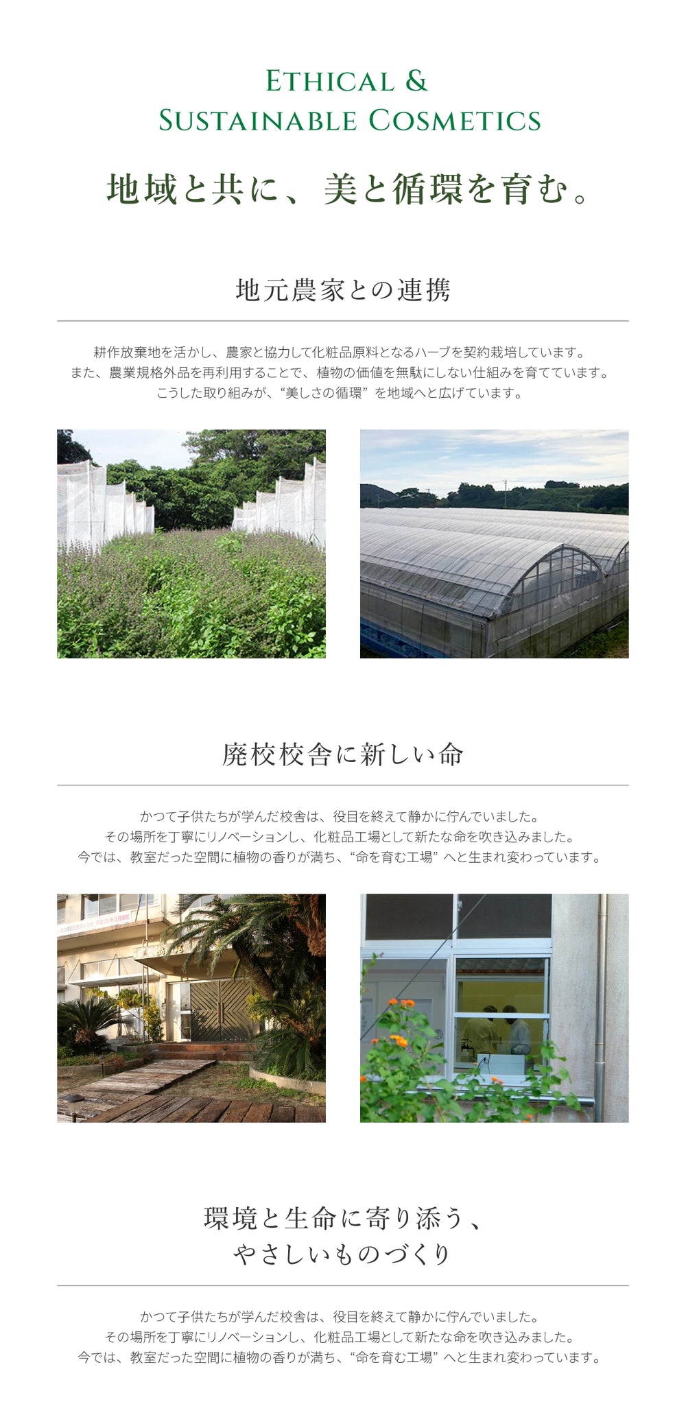 ゲットウ化粧水