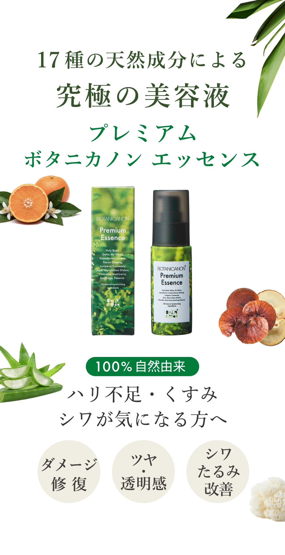 プレミアム ボタニカノン エッセンス（美容液）