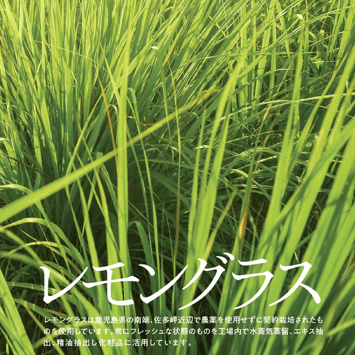 LEMONBOTTLE 10ml 3本セット XYSMZM 3 Pcs 6oz Dispensing Bottles, Plastic Squeeze Bottles