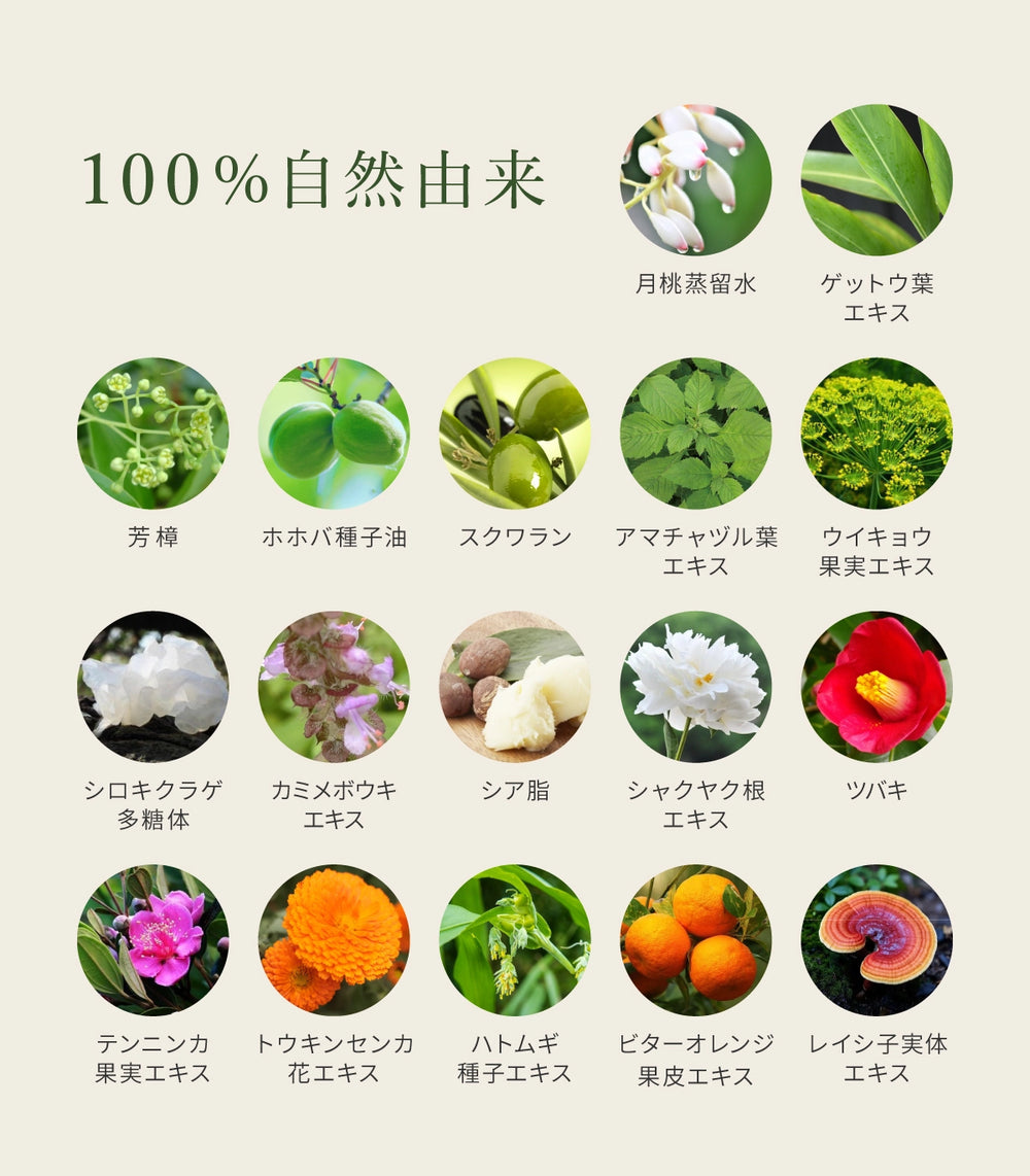 プレミアム ボタニカノン クリーム