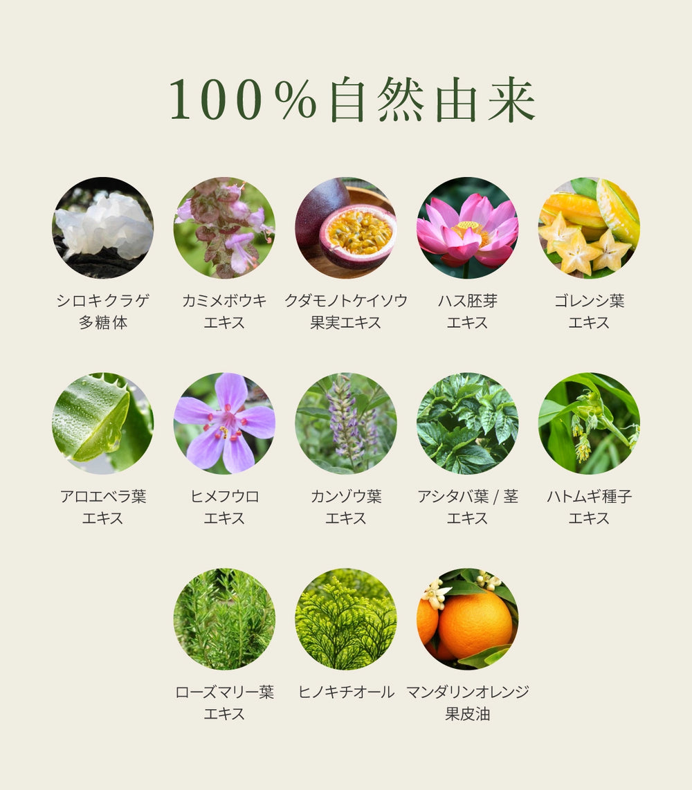 ホーリーバジル化粧水