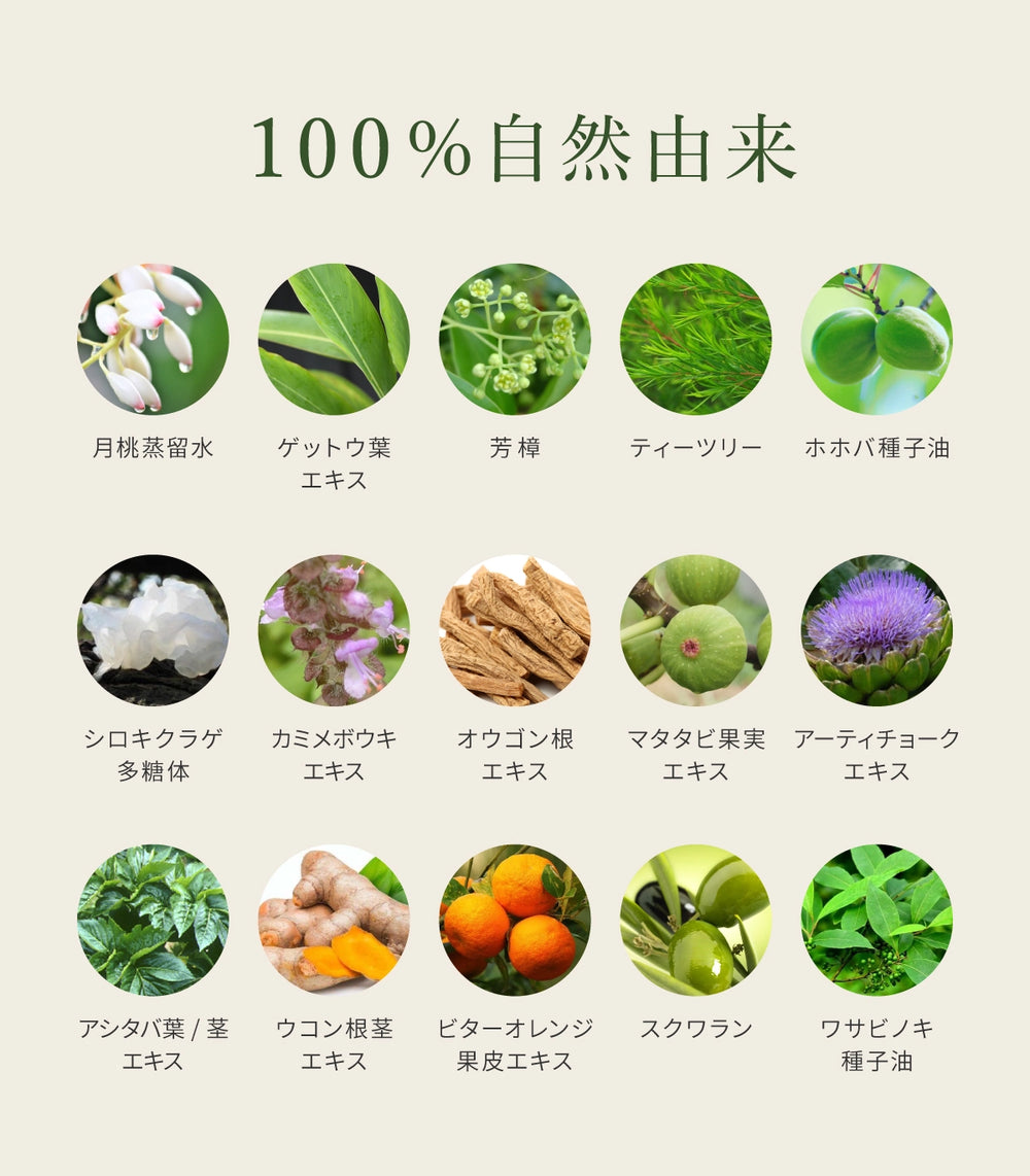 エマルジョン(乳液)