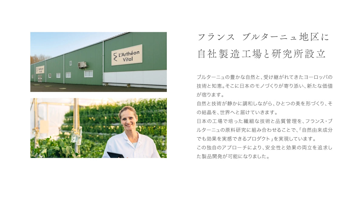 エマルジョン(乳液)