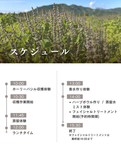 【年に一度の開催！】ホーリーバジル収穫祭（6/7(土)） 参加チケット