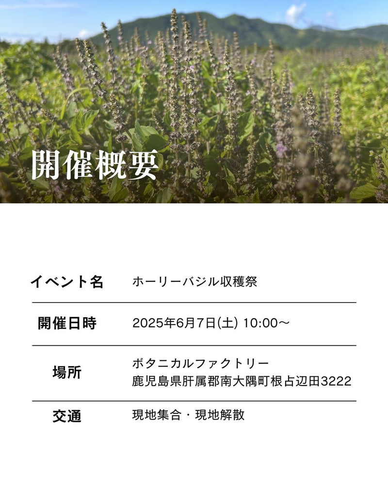 【年に一度の開催！】ホーリーバジル収穫祭（6/7(土)） 参加チケット