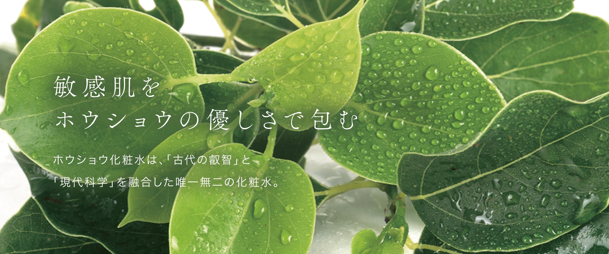 ホウショウ化粧水