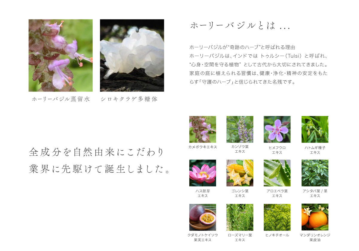 ホーリーバジル化粧水