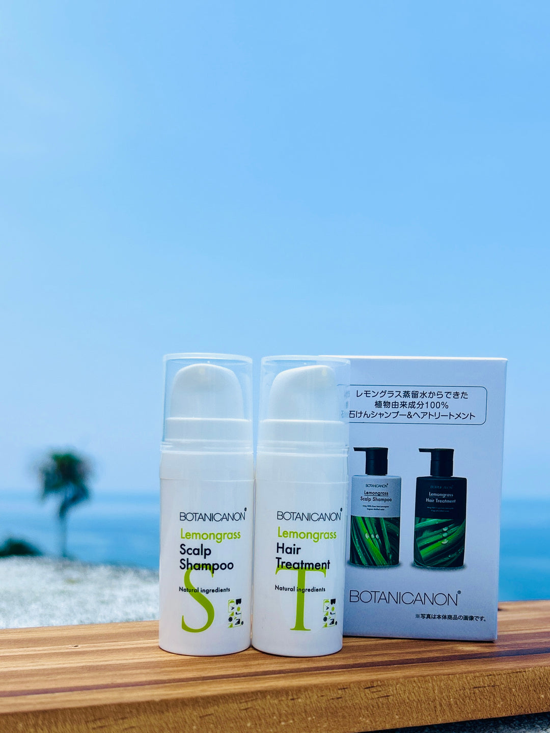 E STANDARD レモン シャンプー トリートメント コレクション ボトル