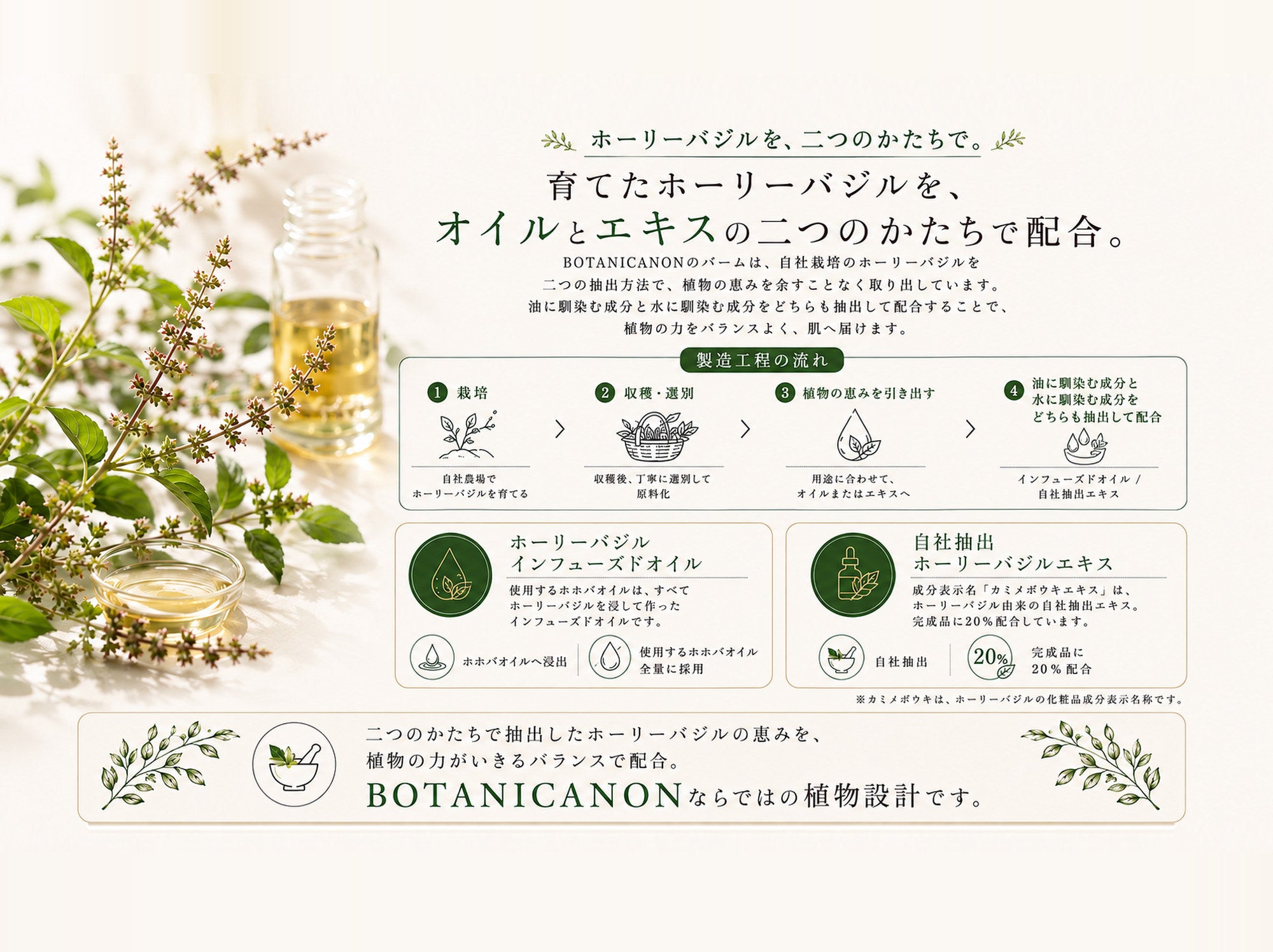 ホーリーバジルインフューズドバーム