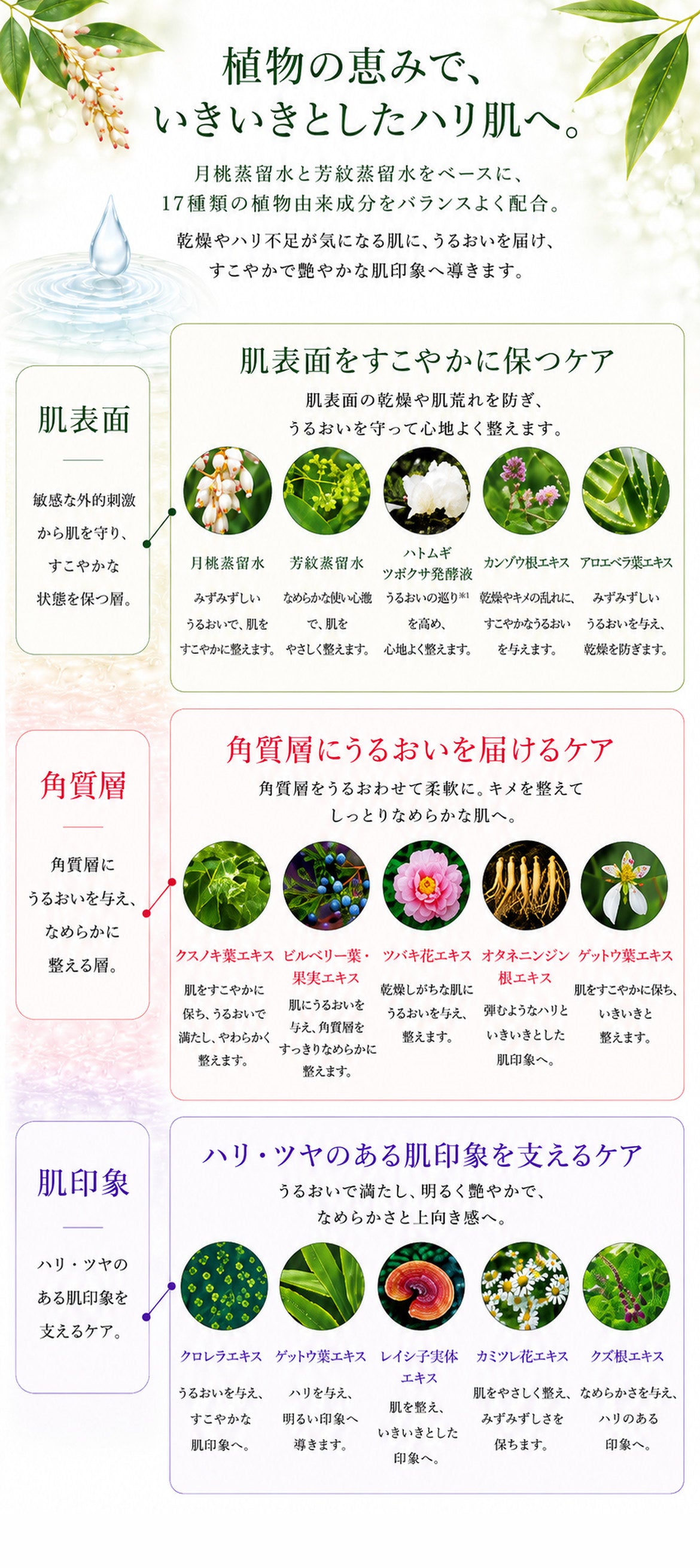 プレミアム ボタニカノン エッセンス（美容液）