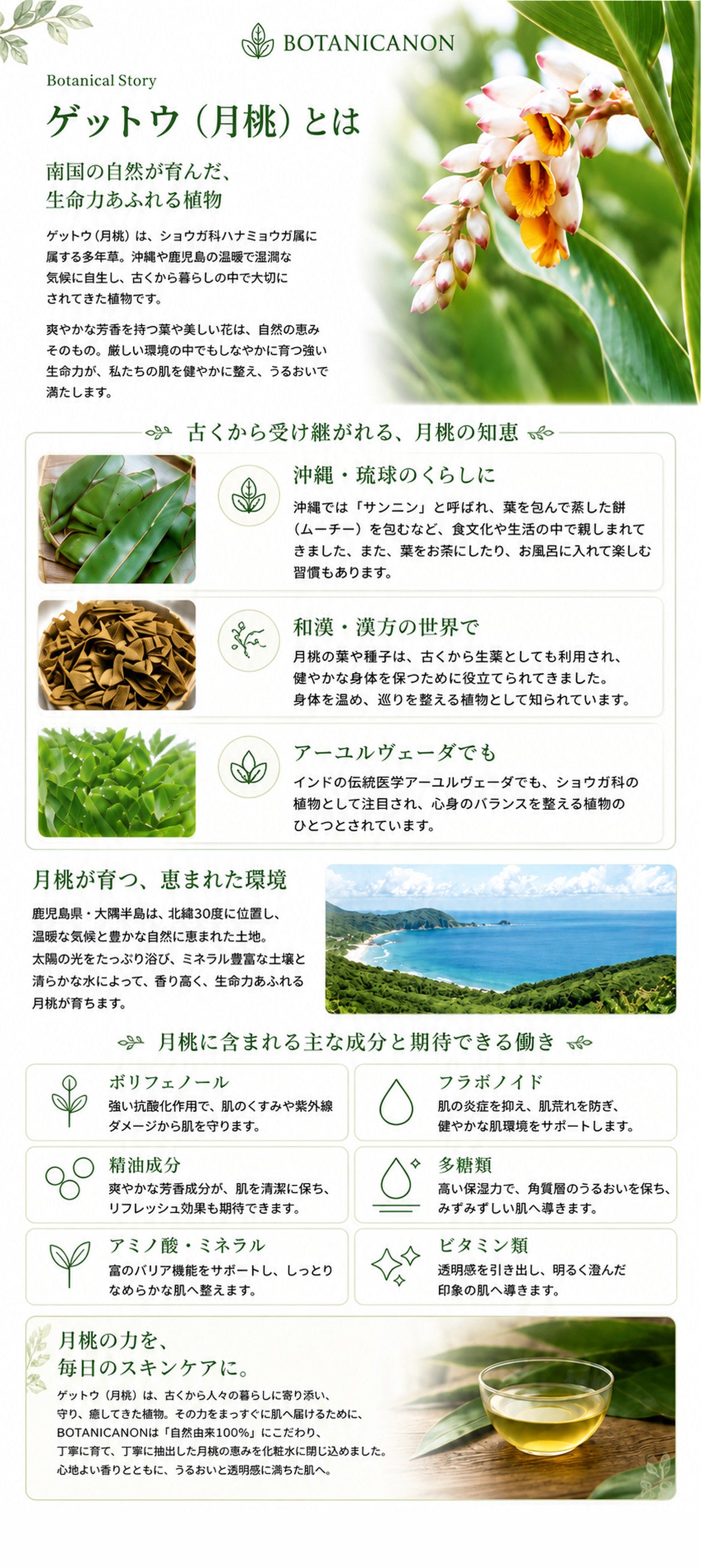 ゲットウ化粧水