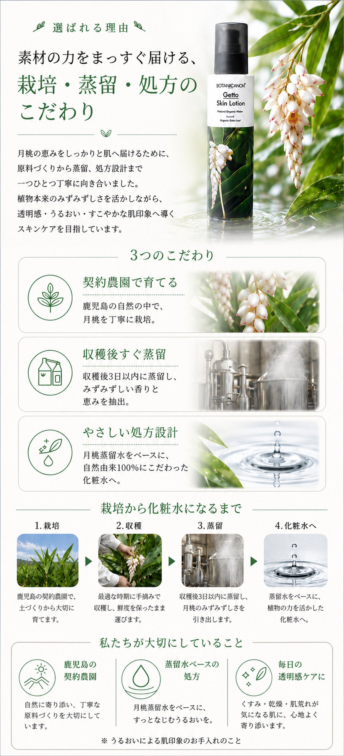 ゲットウ化粧水