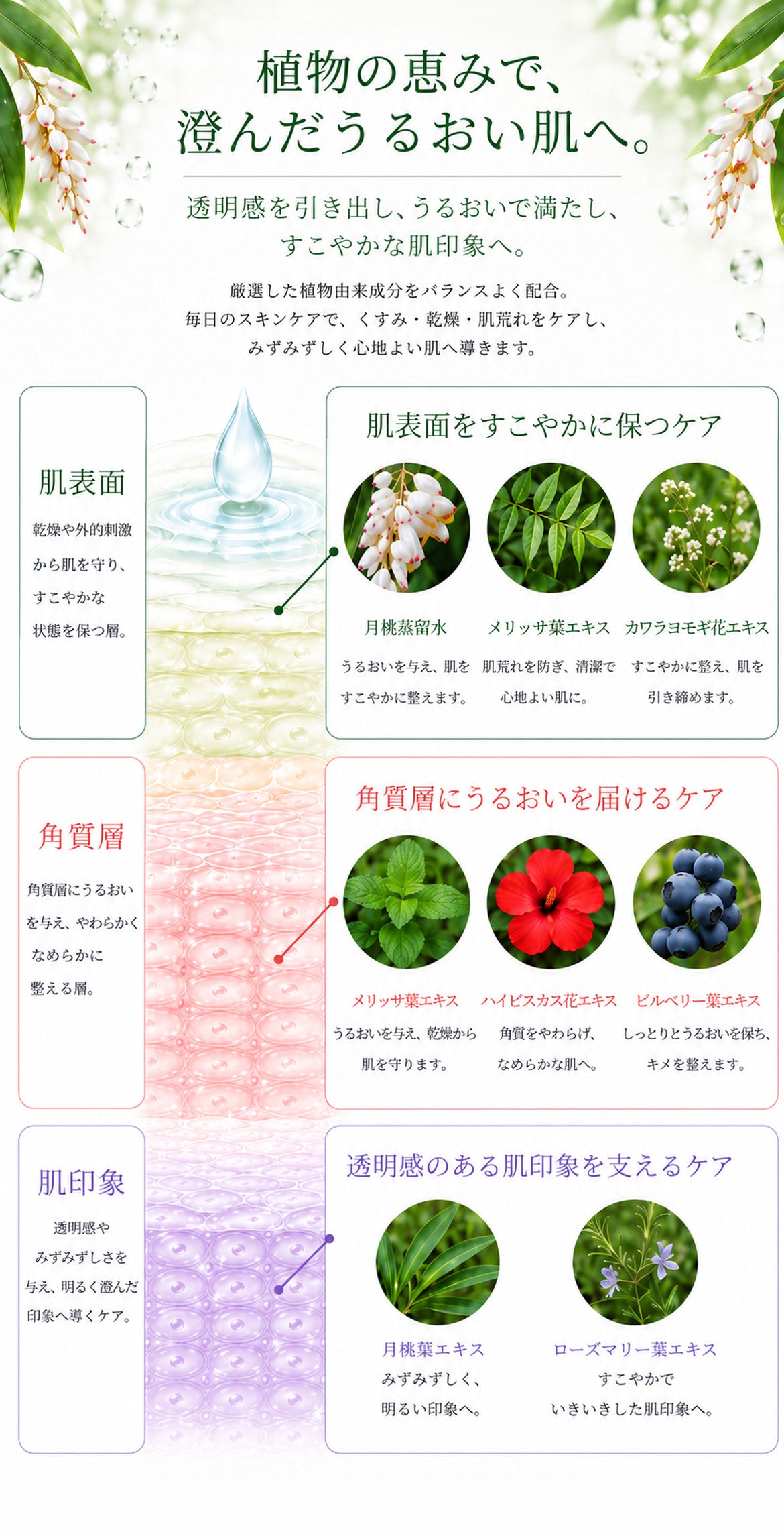 ゲットウ化粧水
