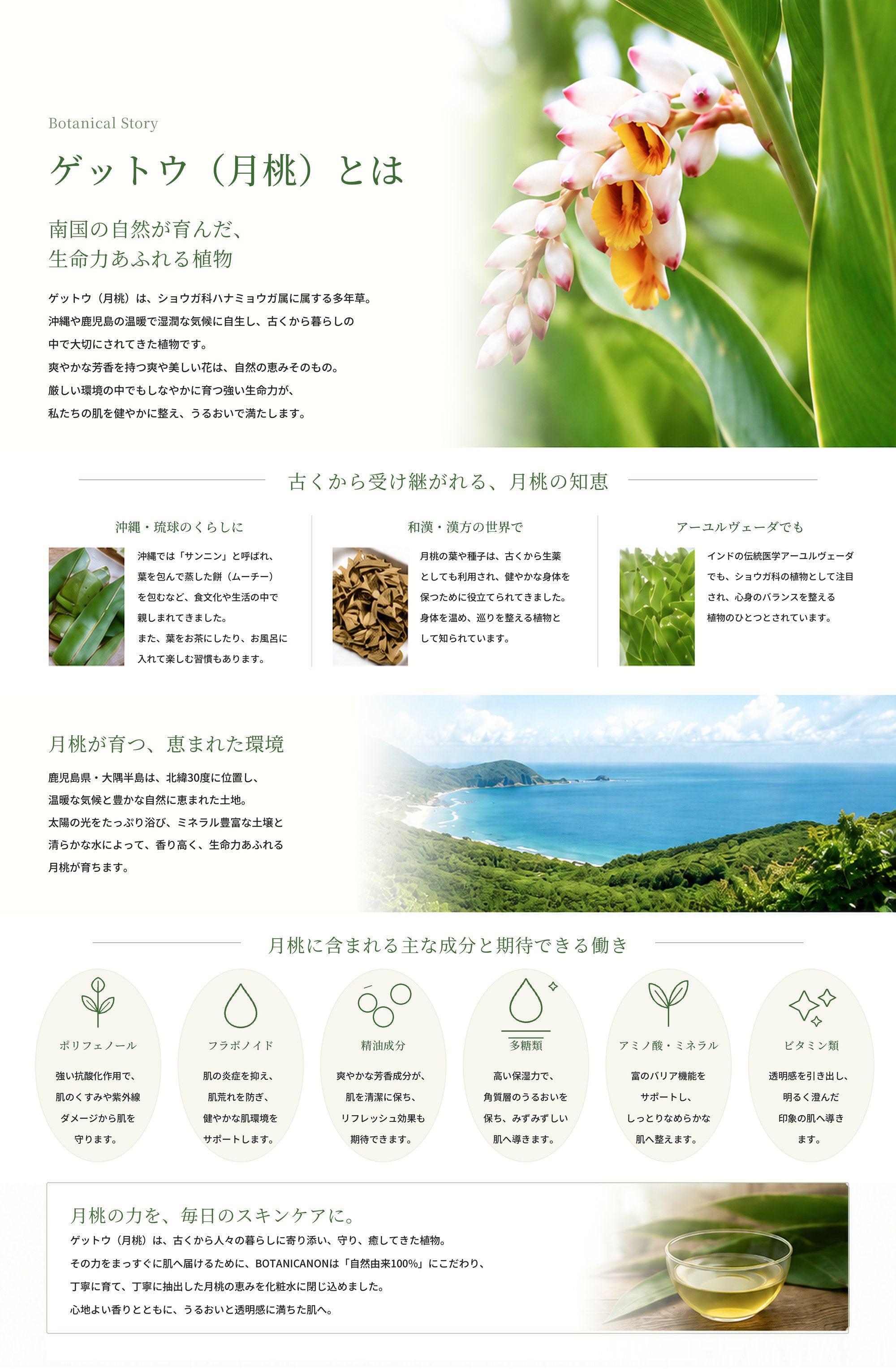 ゲットウ化粧水