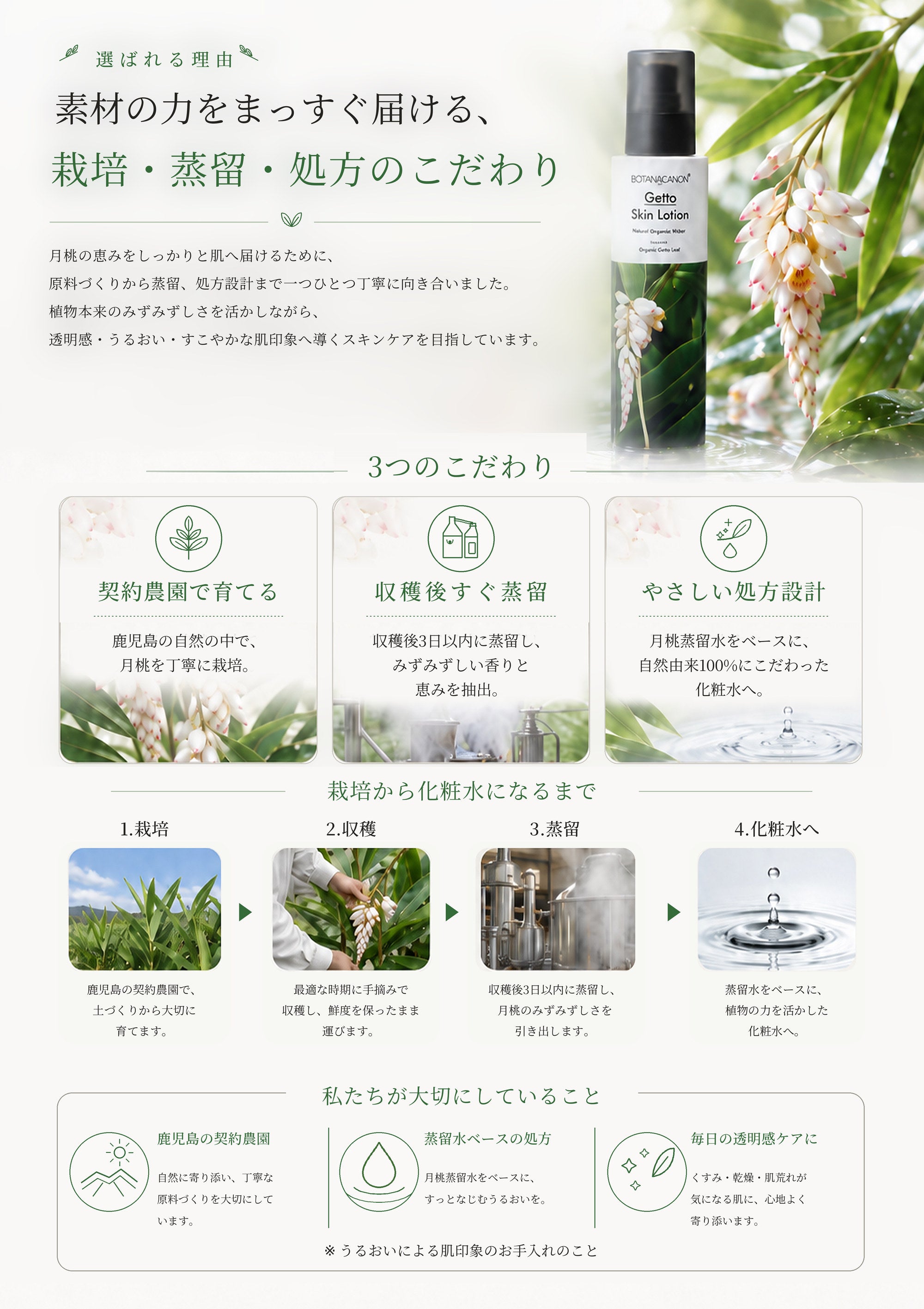 ゲットウ化粧水