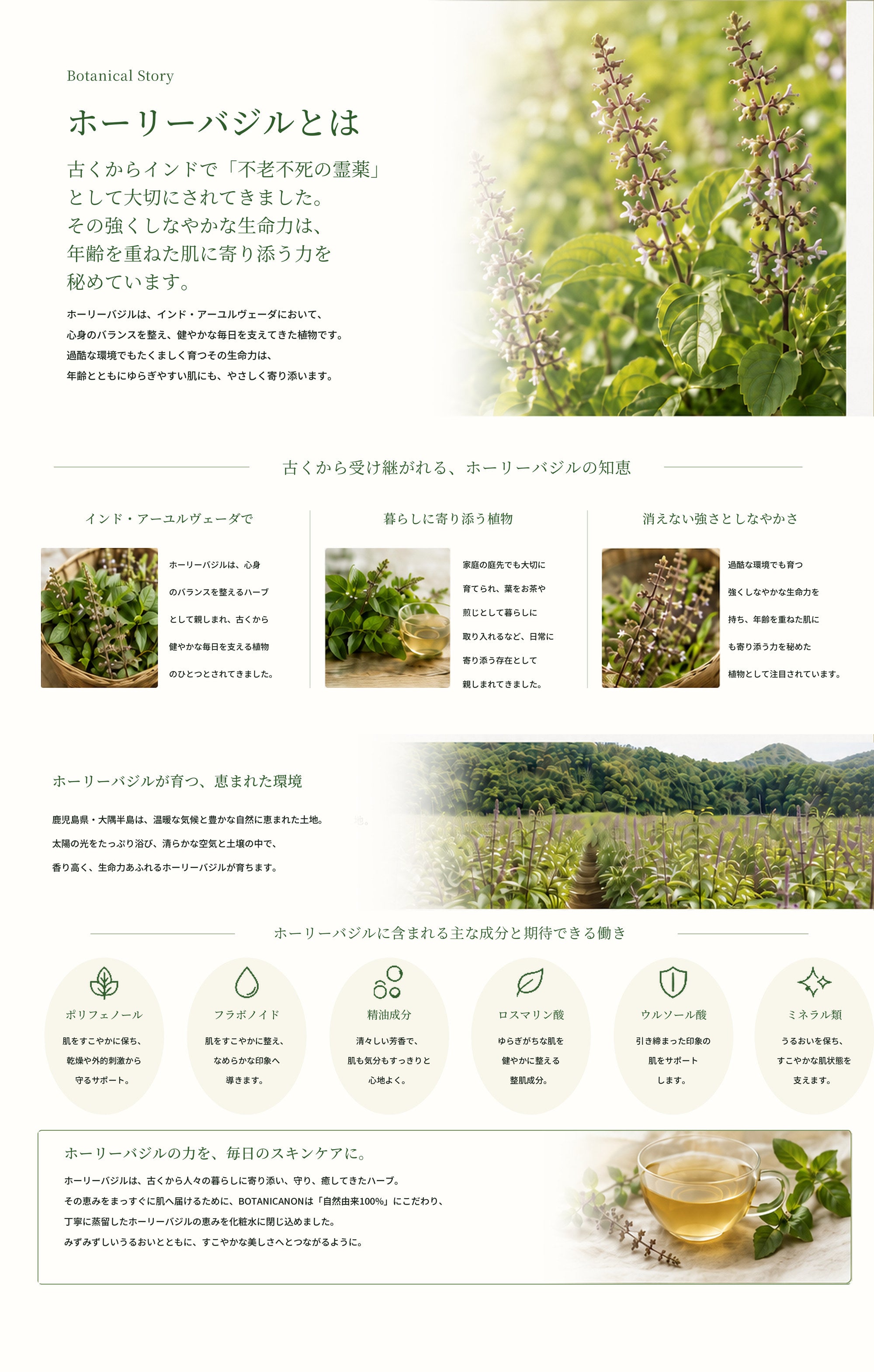 ホーリーバジル化粧水