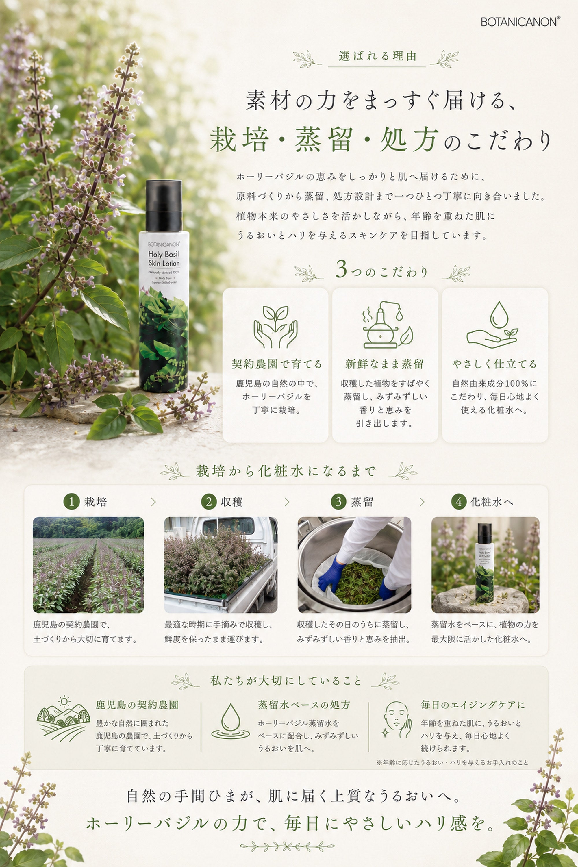 ホーリーバジル化粧水