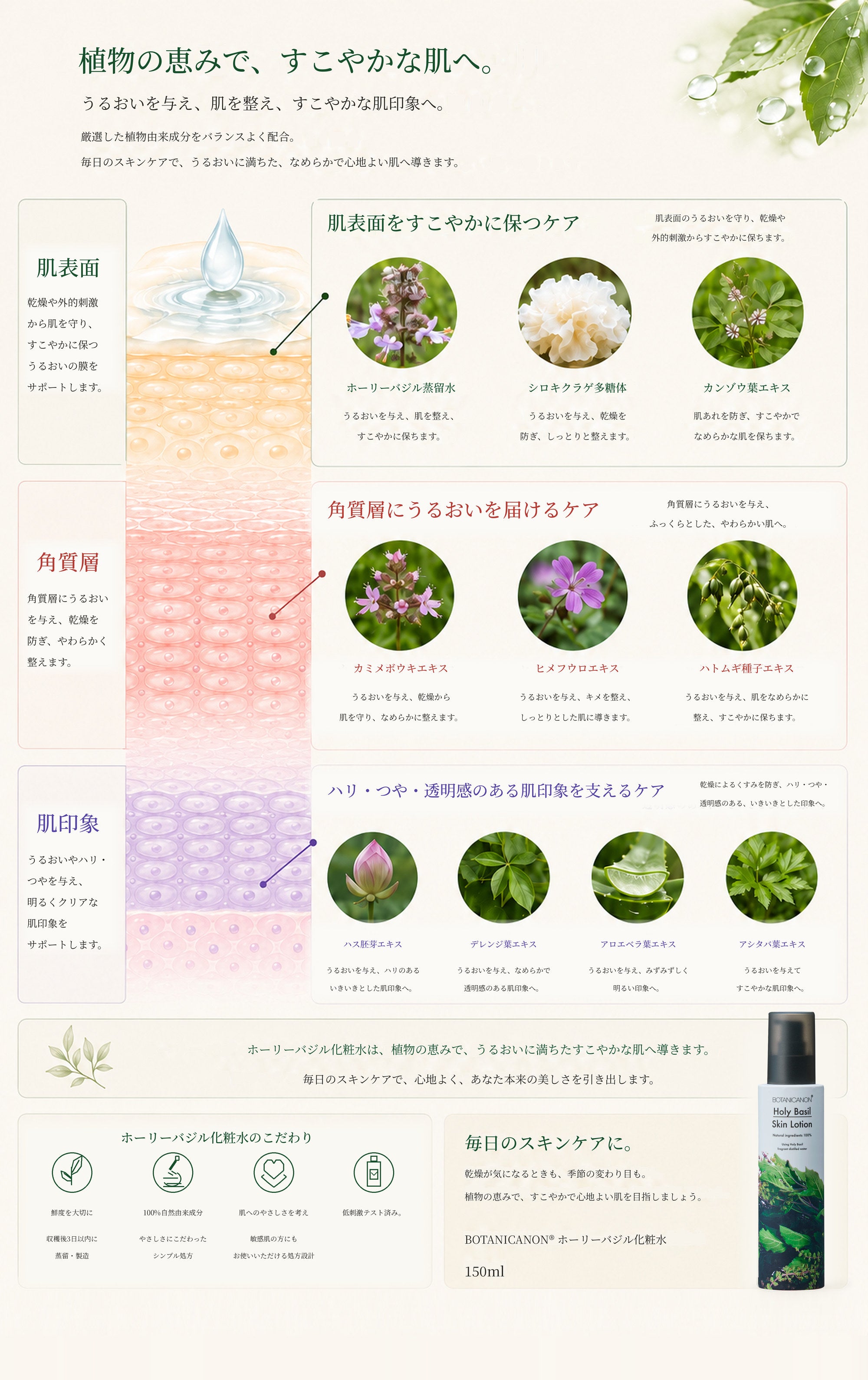 ホーリーバジル化粧水