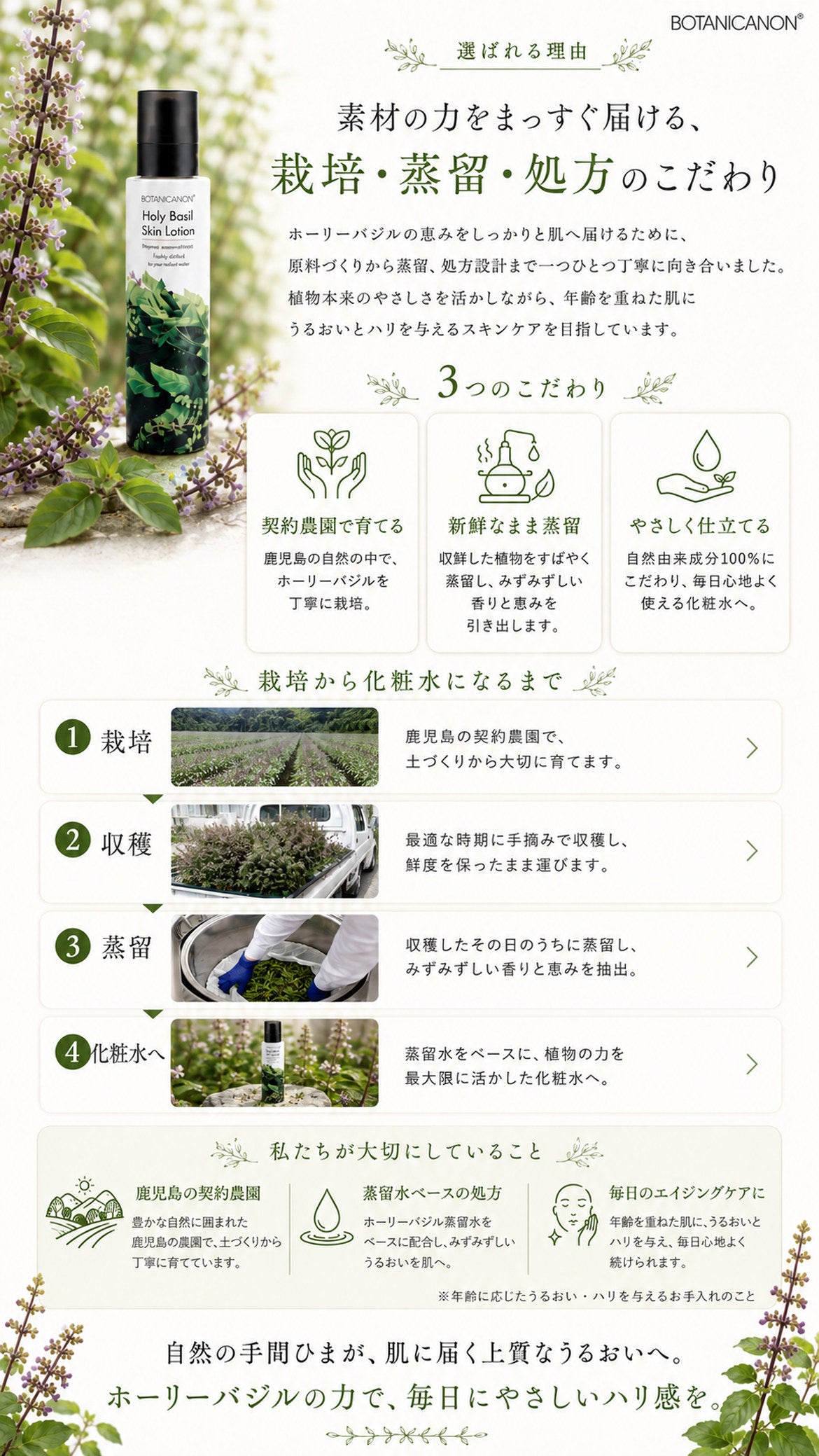 ホーリーバジル化粧水