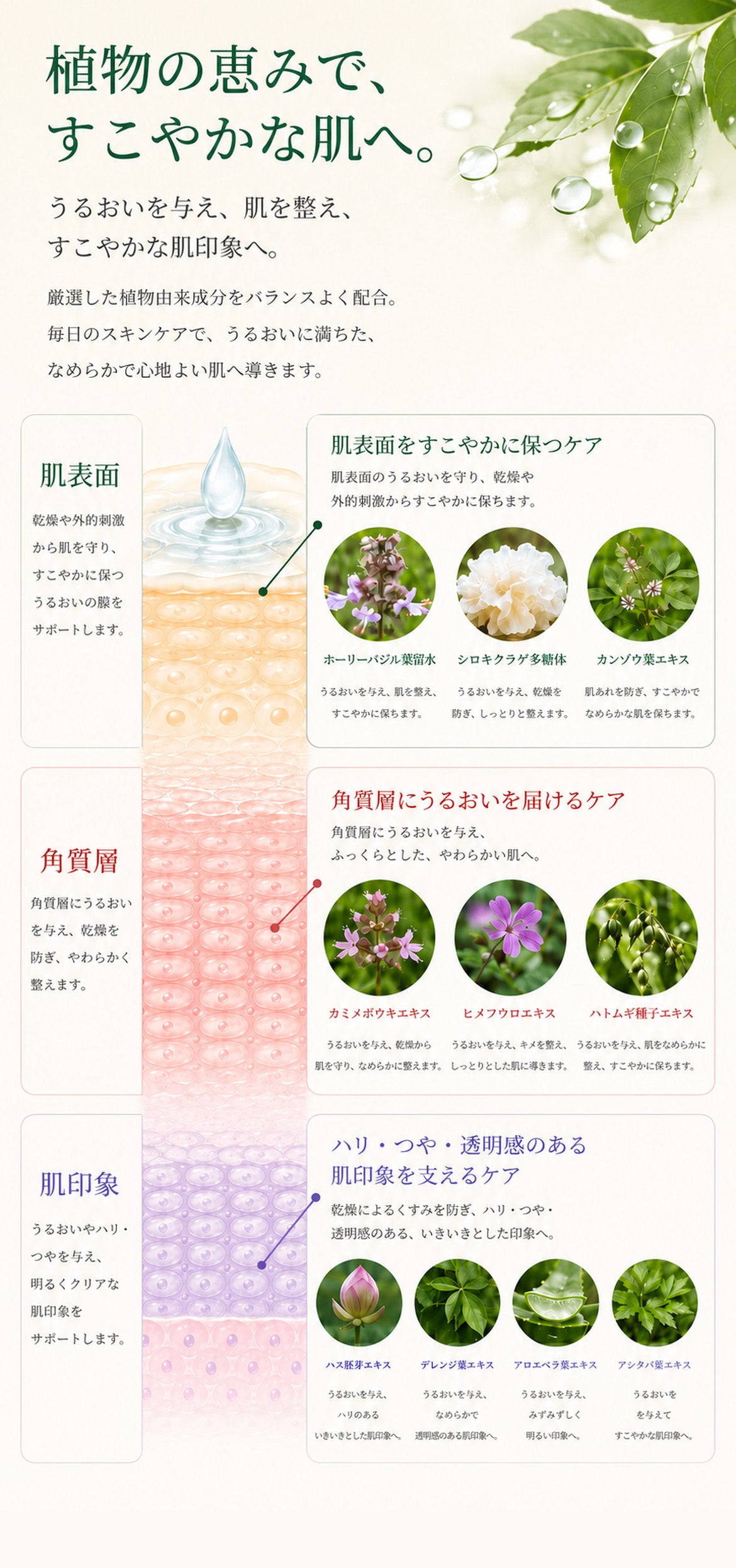 ホーリーバジル化粧水