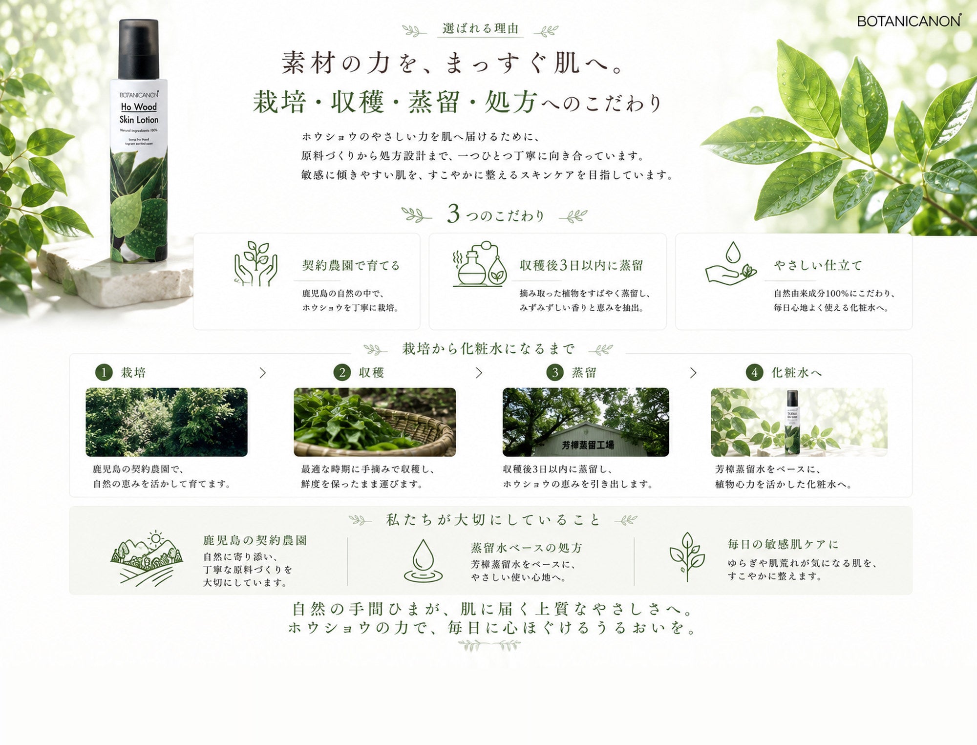 ホウショウ化粧水