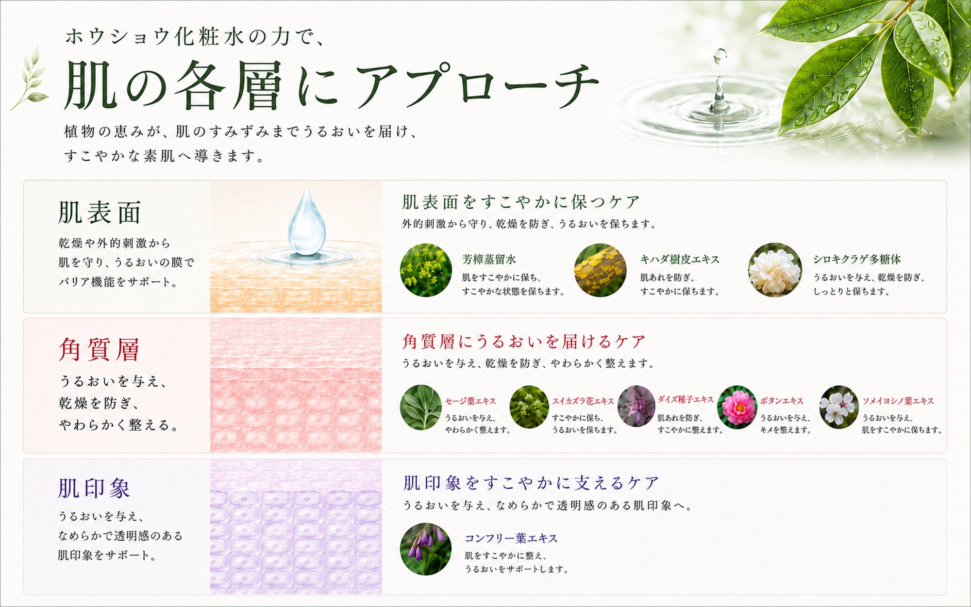 ホウショウ化粧水