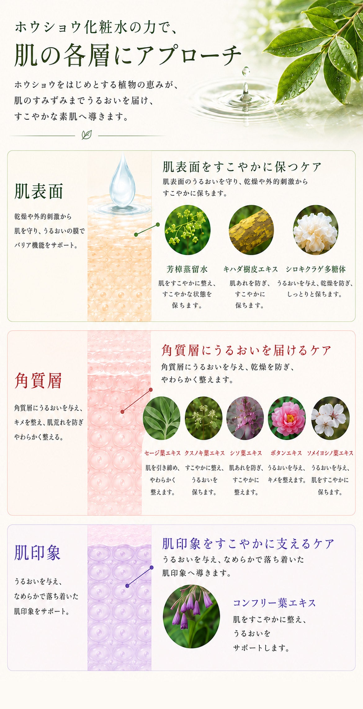 ホウショウ化粧水