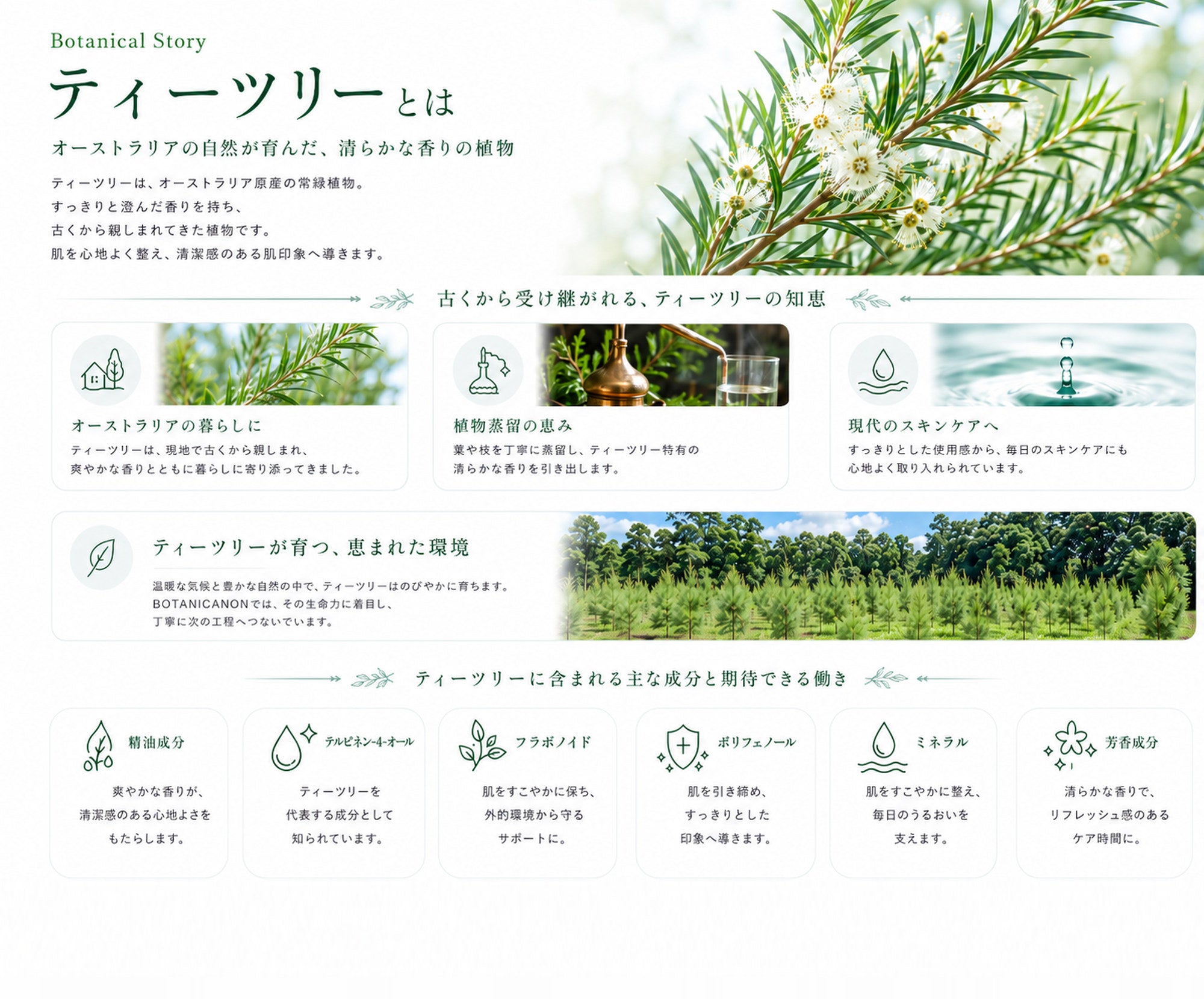 ティーツリー化粧水