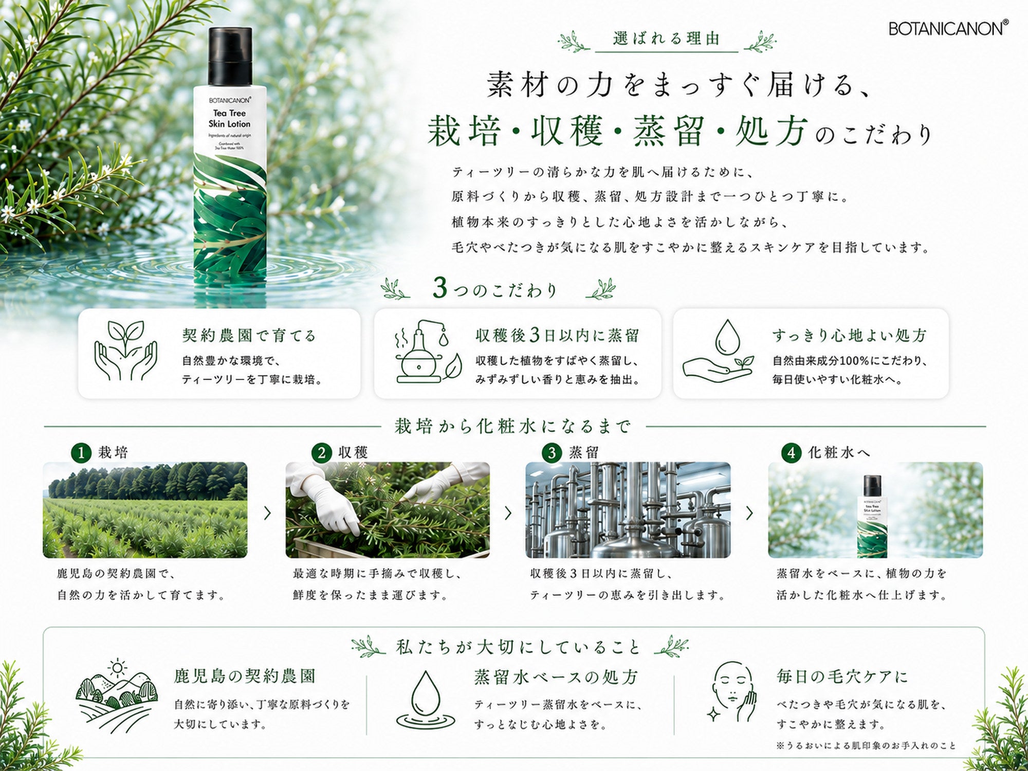 ティーツリー化粧水