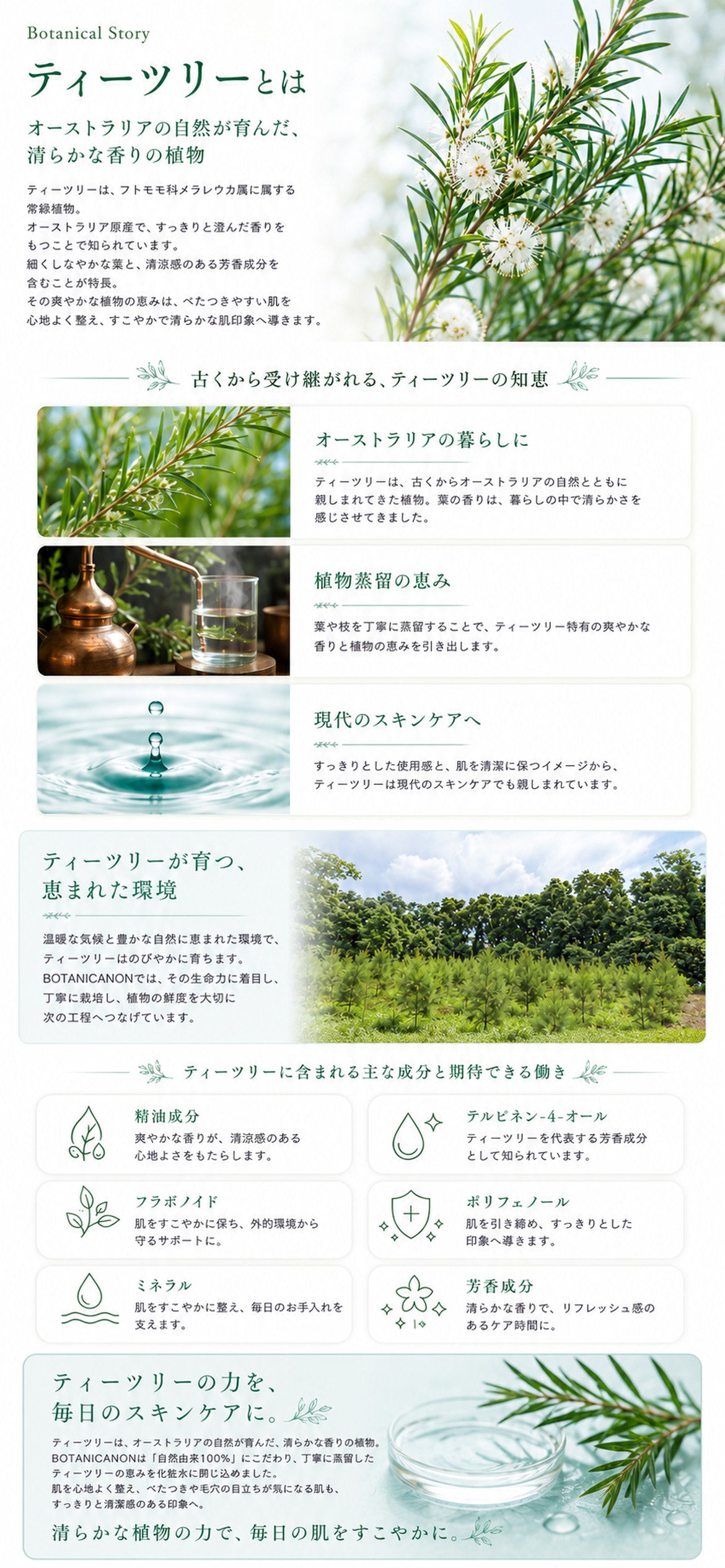 ティーツリー化粧水