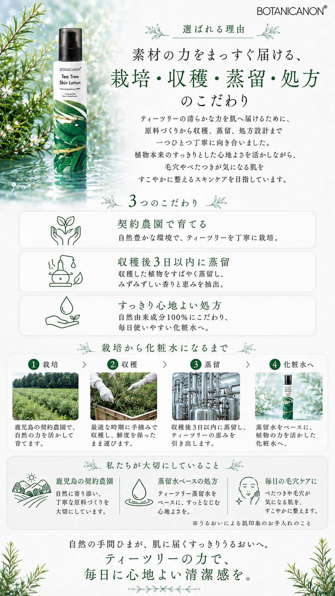ティーツリー化粧水